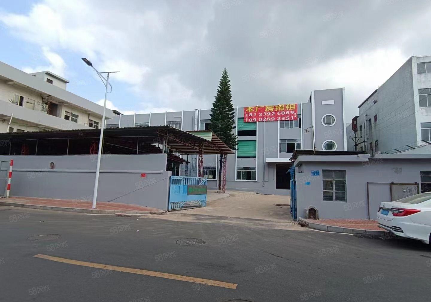 大岭山6000平独门独院厂房出租，全新精装修，仓库出租