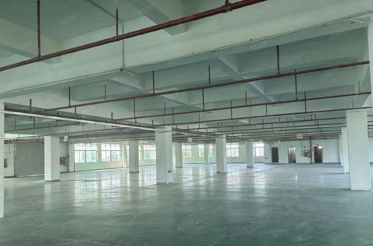 标准工业厂房，一手房东，地理位置优越，交通便利，配套设施齐全