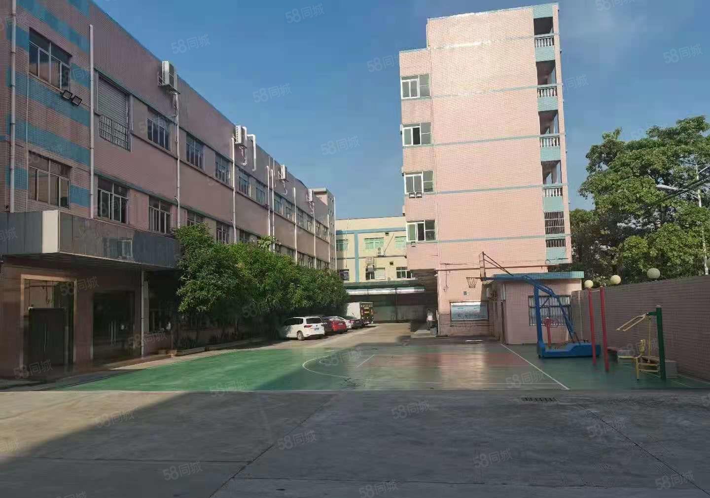 （可办环坪）大岭山大塘村原房东独门独院4000平厂房分租