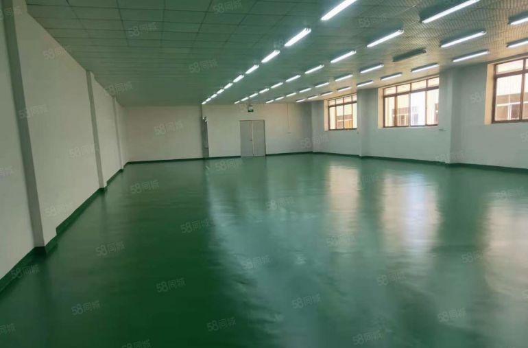 大岭山杨屋高速口靠深圳长安 小面积厂房出租 带精装修超低价