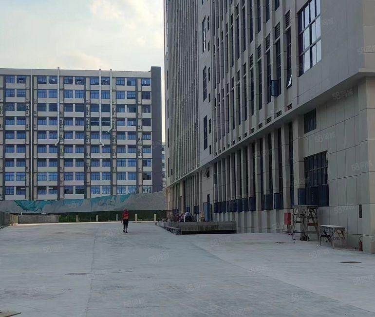 大岭山高速出口5楼3000平全新红本厂房可办环评有喷淋好招工