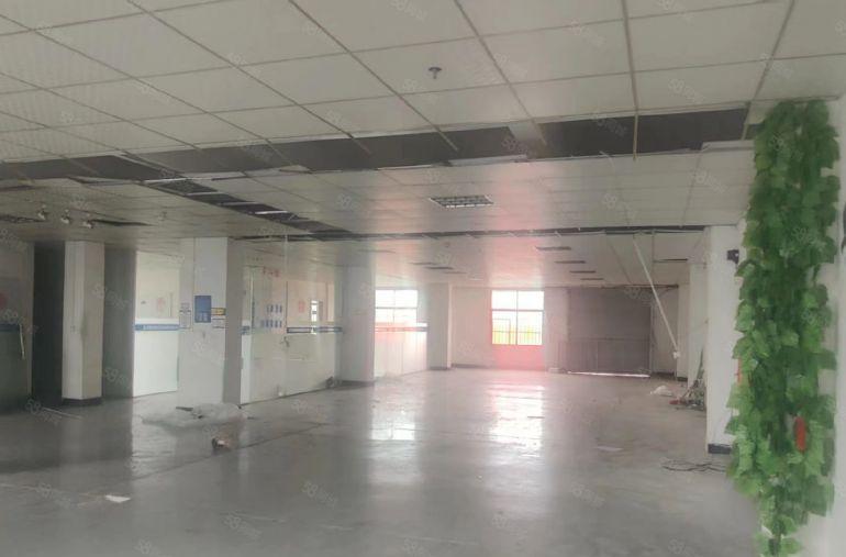 大岭山石大路旁 原房东独栋厂房 超低价 精装修 现成办公室