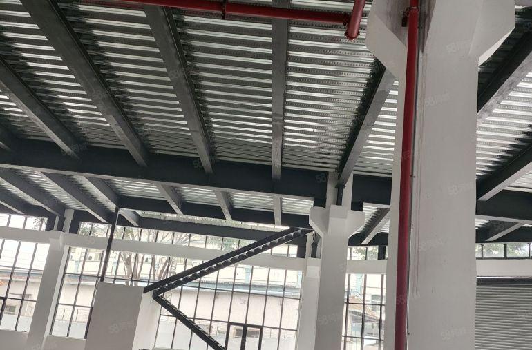 大岭山镇原房东全新三层独门独院厂房，高度7米，特价12元急租