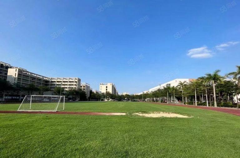 大岭山20万平本地人房东标准厂房钢结构园区上市公司形象