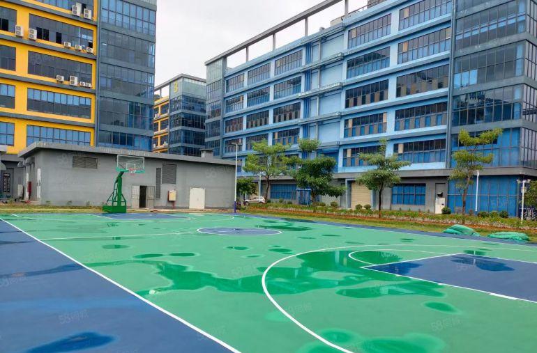 11米高的红本重工业厂房独栋厂房来了，现成豪华装修免费送