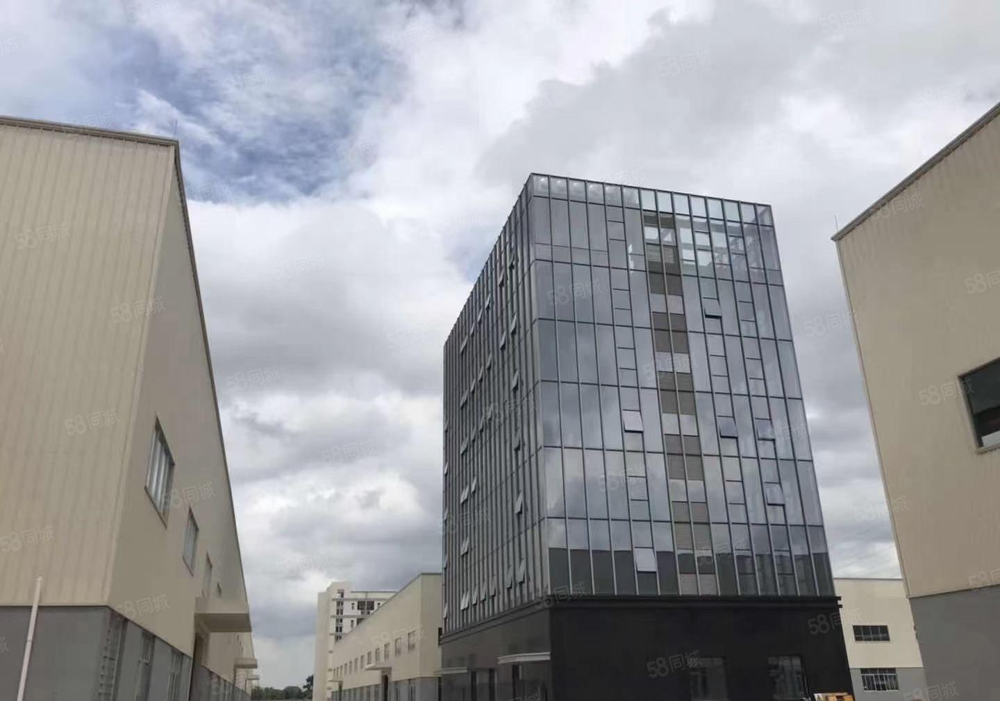 大岭山3000平米10米高钢构单一层低价出租，可分租可办环评