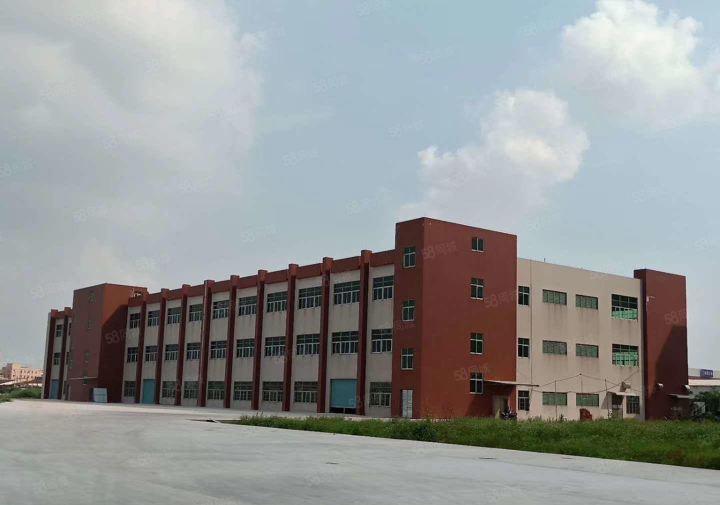 大岭山高速出口新出一楼1100平方7米高带牛角厂房招租