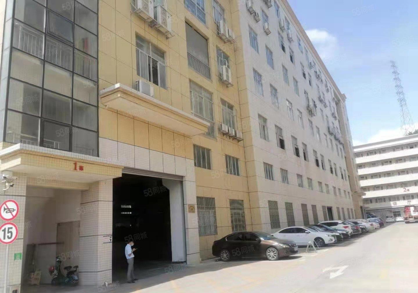 大岭山杨屋工业区新出一楼800平方，带行车7米高水电到位