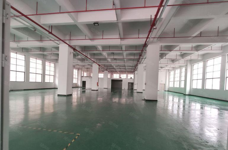 大岭山杨屋一手房东一楼1500平实际面积20块一平厂房出租