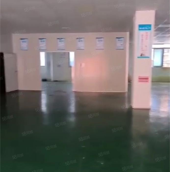 大岭山杨屋靠深圳 一楼厂房出租 精装修 水电齐全 超低价