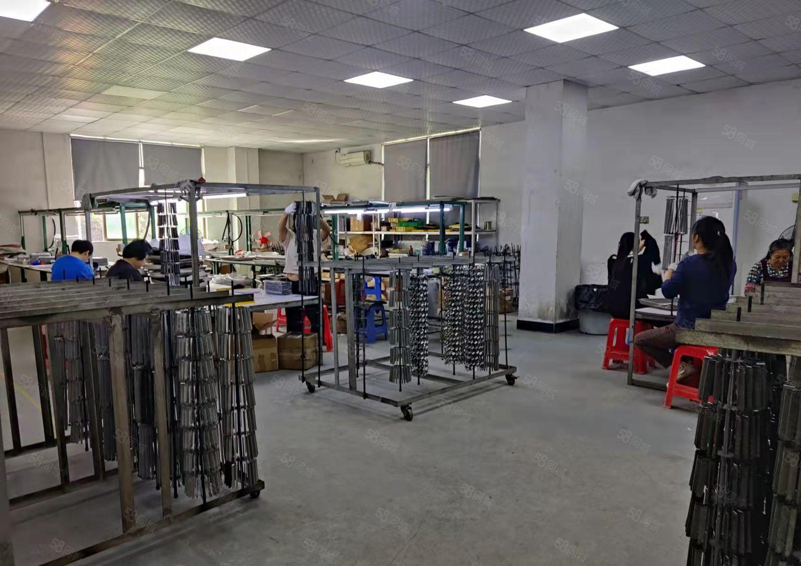 豪华装修水电齐全标准厂房二楼整层