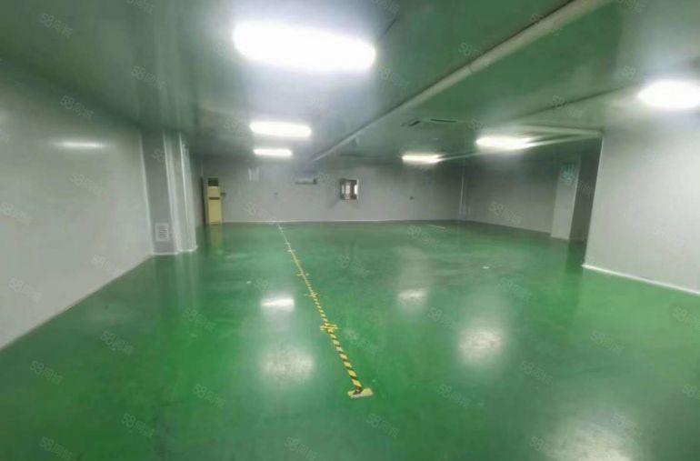 大岭山杨屋工业区，无尘车间厂房出租 超低价 带装修 可办环评