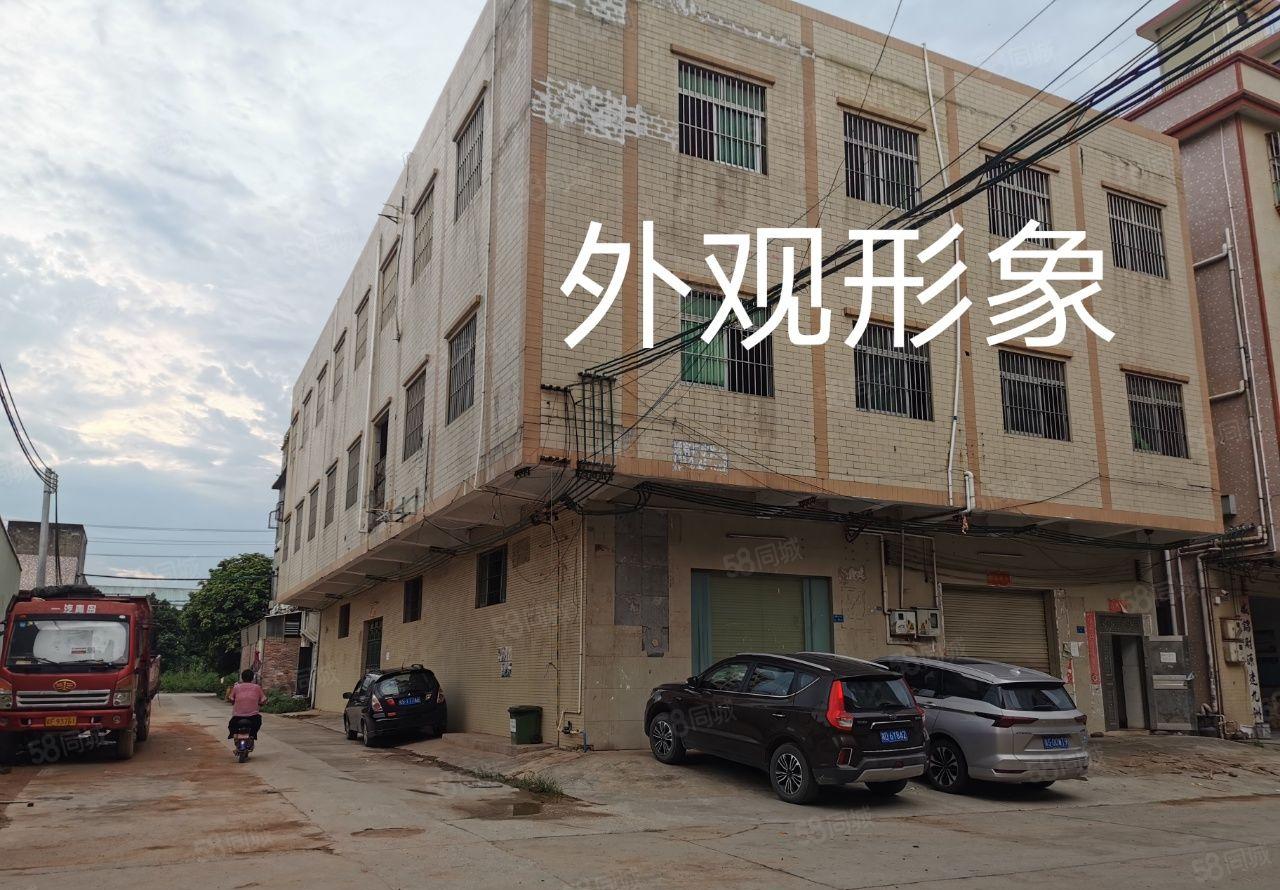 大岭山镇新出独栋小三层标准厂房2000平方出租，不限电！