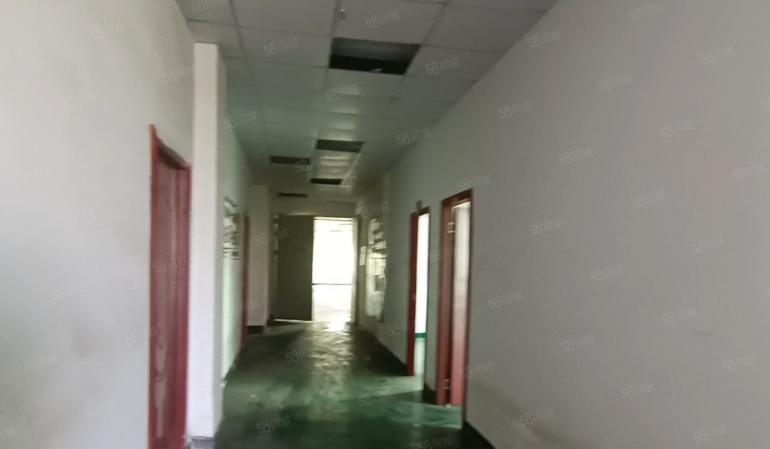 大岭山大沙楼上精装修厂房出租小厂房仓库出租低价办公室配套齐全