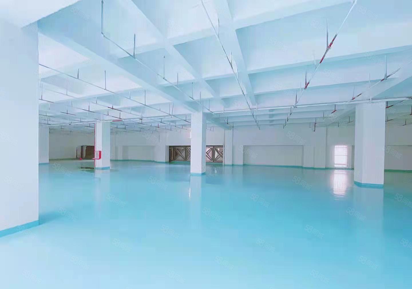 大岭山村委1200平厂房出租仓库出租，工业用地现成装修可分租