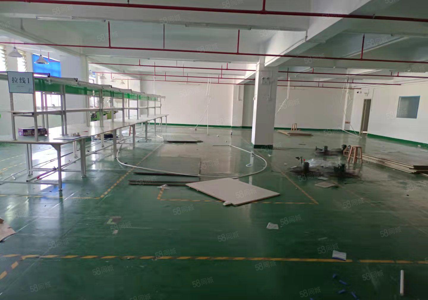 大岭山原房东低价800平厂房出租仓库出租，水电办公室齐全