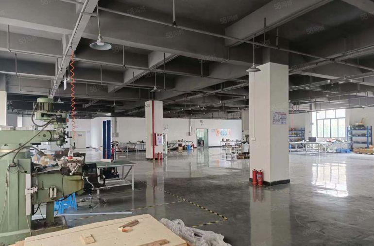 可省下装修费 大岭山出租楼上1350平厂房形象好设施齐全可分