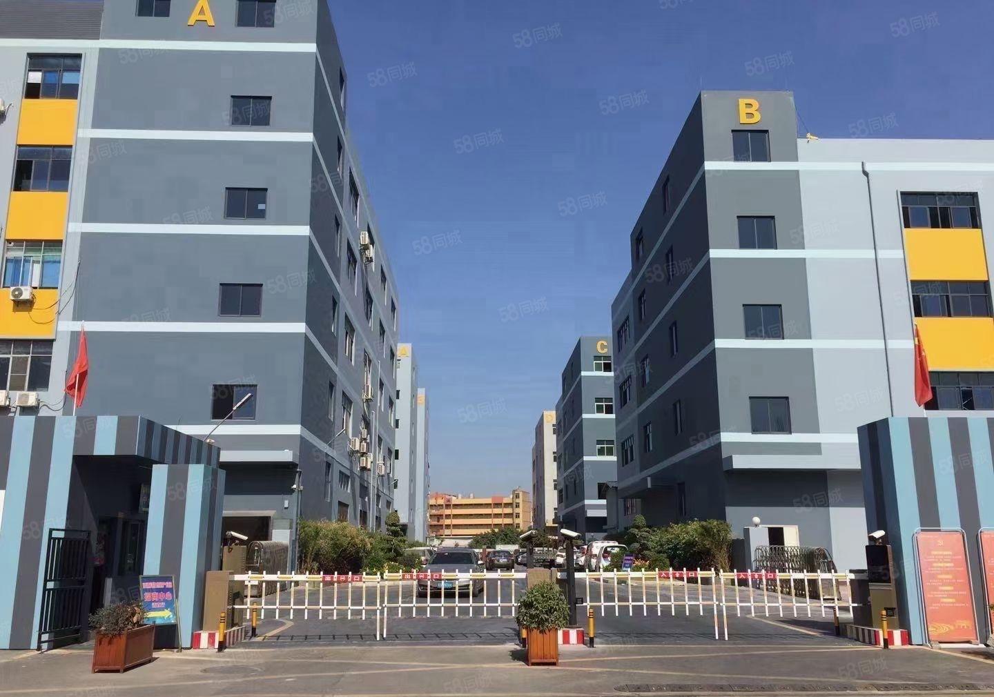 大岭山新出原房东2580平方精装修厂房