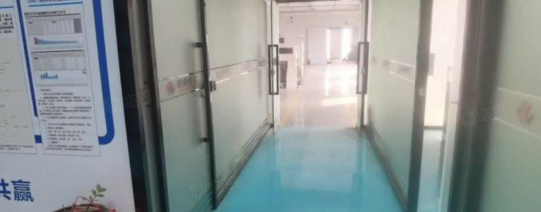 大岭山全新精装修厂房出租低价仓库出租可办公研发仓储生产