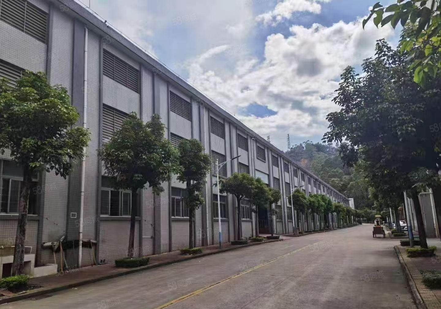 大岭山杨屋新出滴水10米单一层钢构