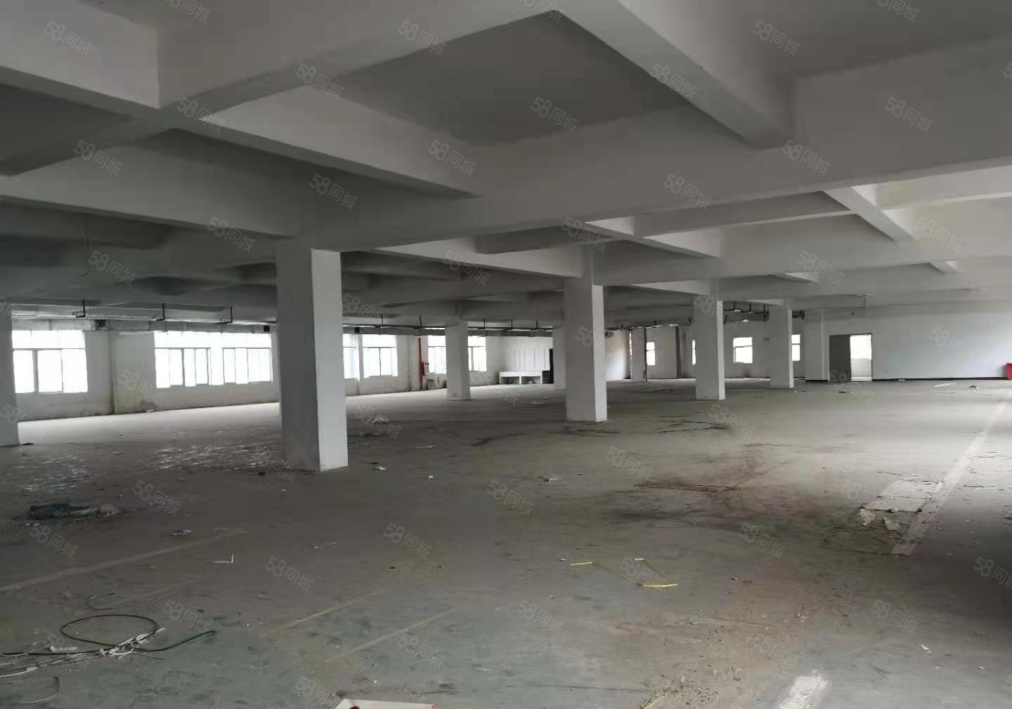 不限电可办环坪  大岭山新出独院原房东3层5000平厂房出租