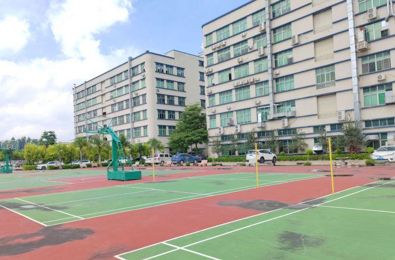 大岭山原房东花园式标准厂房现成豪华装修洁净车间，实际面积出租