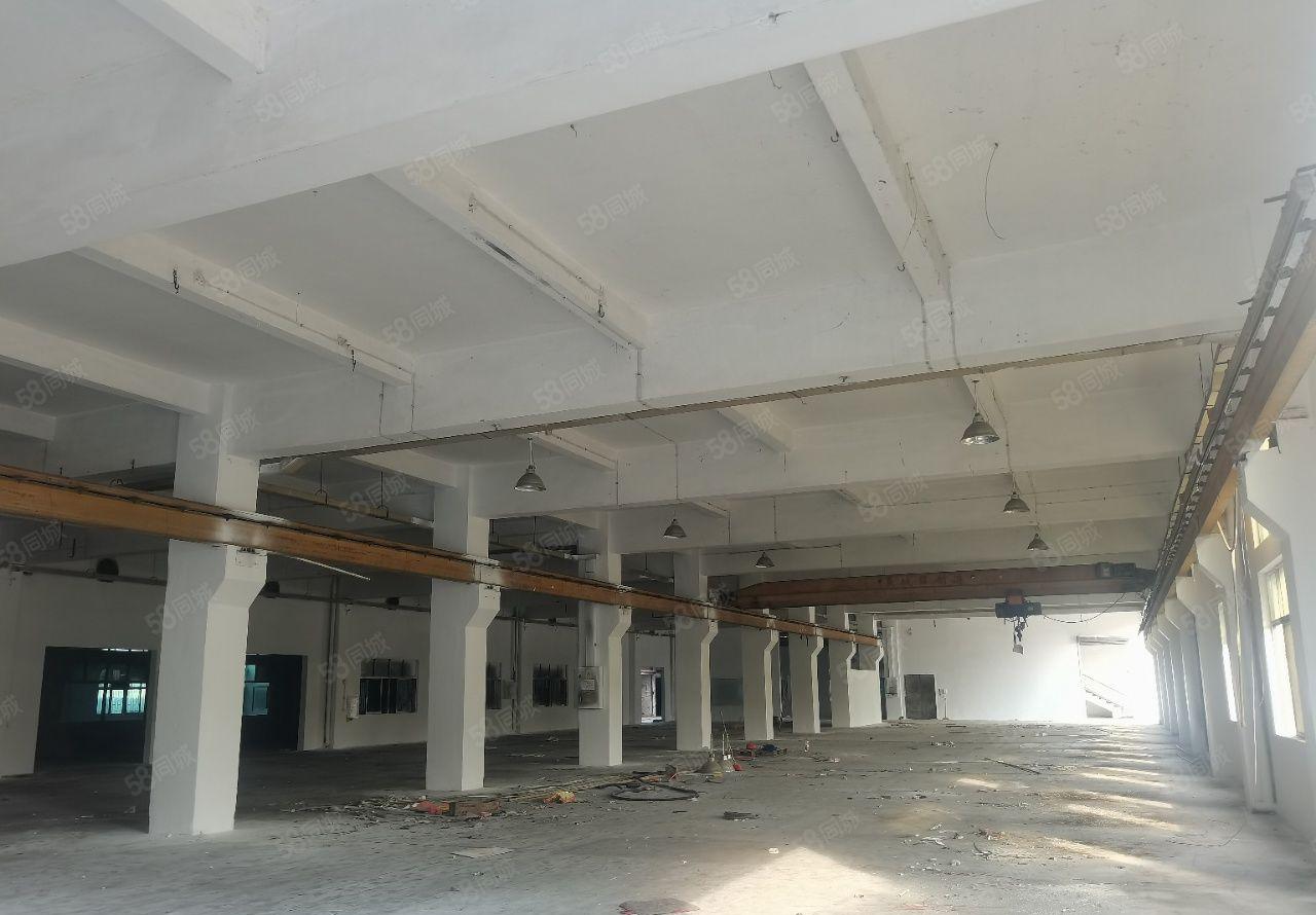 石碣镇新出原房东标准厂房三层，正规工业用地，可办环评