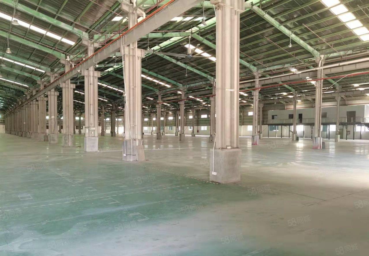 特价出租滴水9米钢构3500 空地2500 可分租