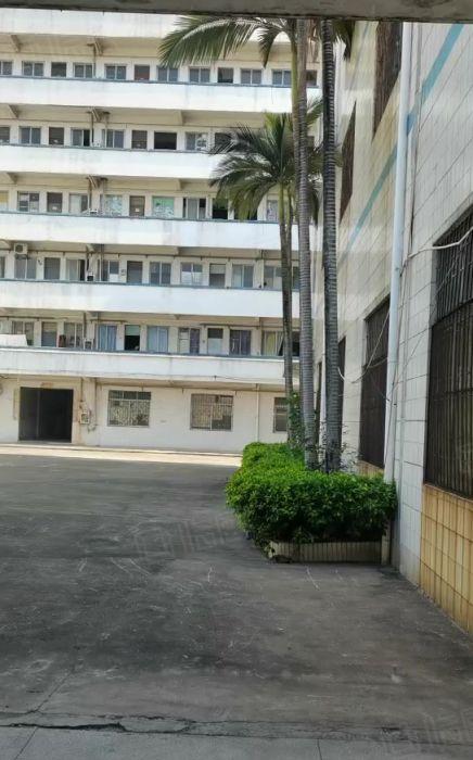 石碣一楼实际面积1200平方，租金25，宿舍6间，装修期半个