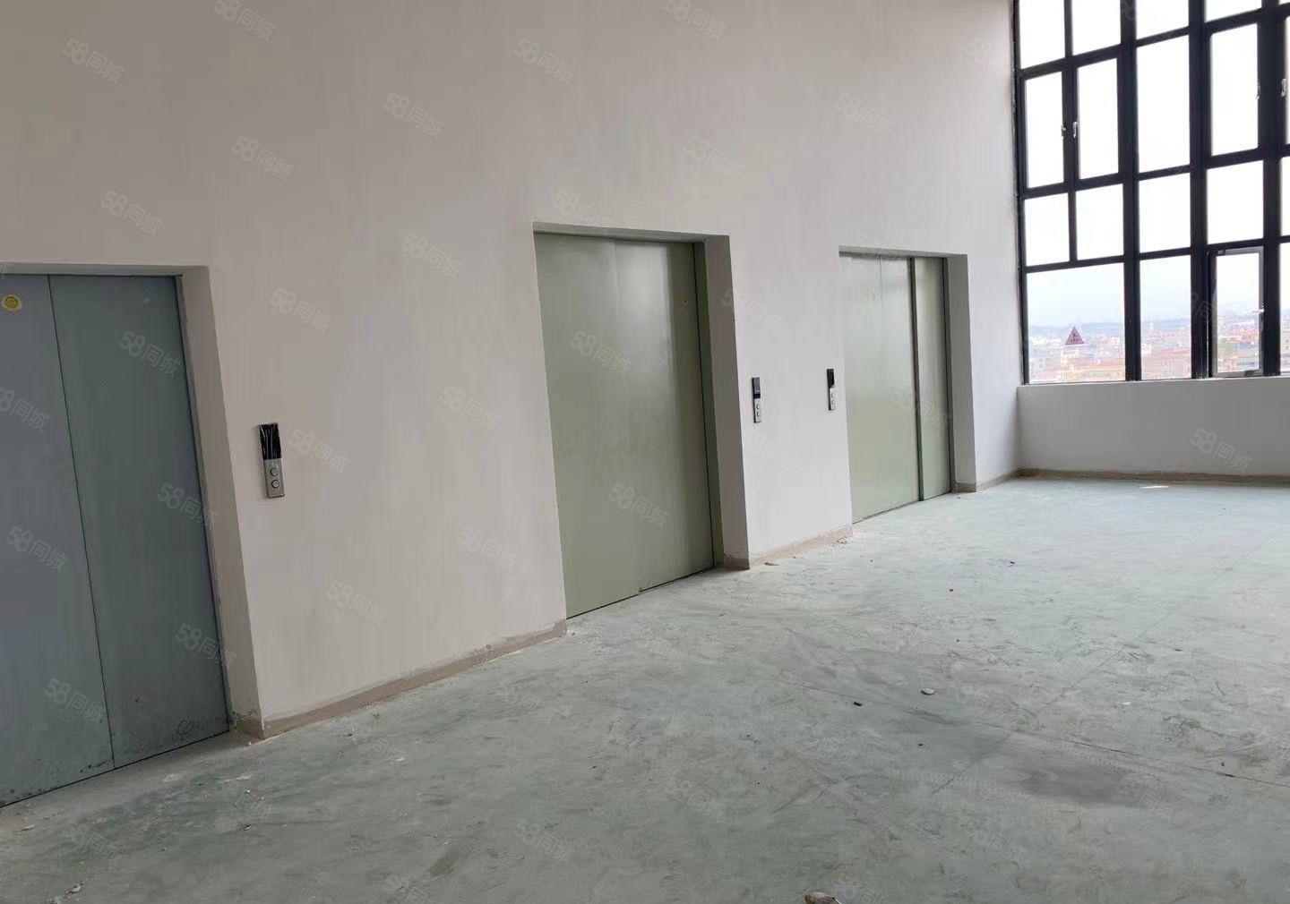 石碣全新标准工业厂房招租