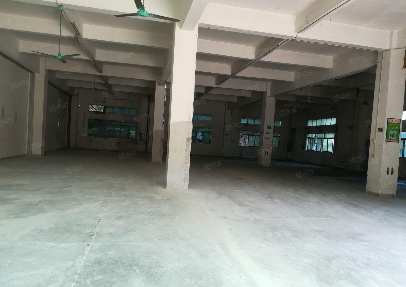 石碣唐洪招租独院厂房一楼500平方，实际面积无公摊，现成装修