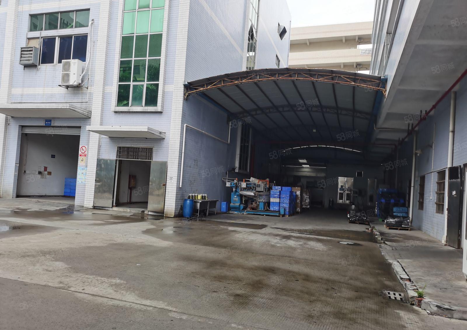 新！抢手！原房东！石碣镇独院厂房招租一楼2200方可分