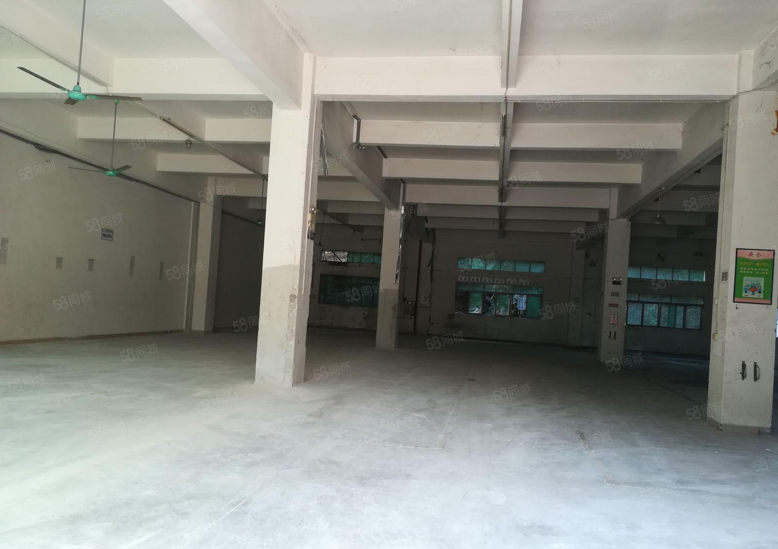 石碣唐洪招租独院厂房一楼500平方，实际面积无公摊，现成装修