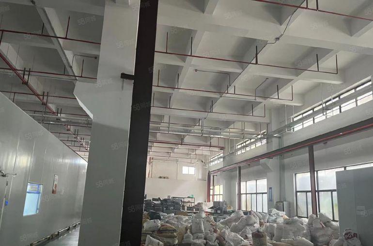 原房东独院 分租 带消防喷淋 水电办公室现成 带卸货平台