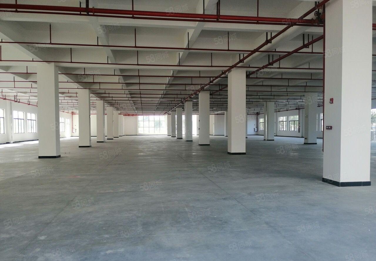 石碣橘洲工业园独院标准厂房8800平可分租形象好