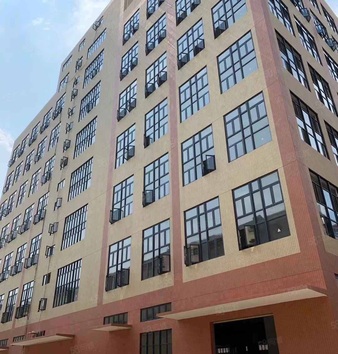 石碣全新标准工业厂房招租