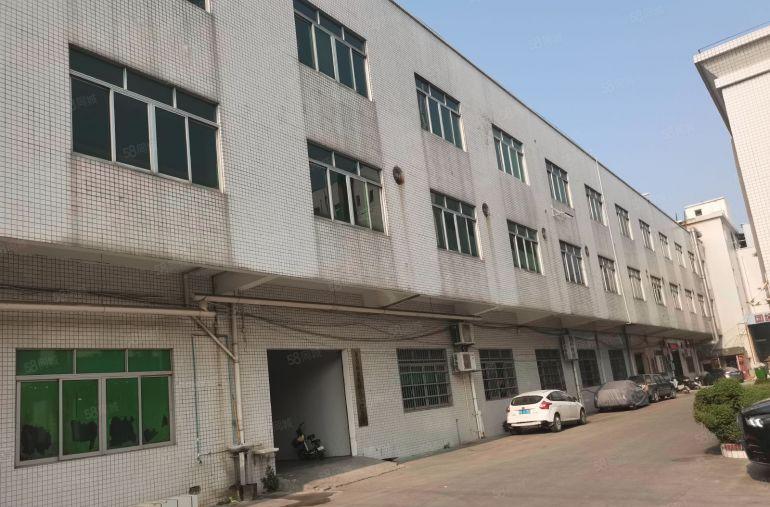 石碣镇带独立办公楼厂房共三层5000平方独院800平方起分租