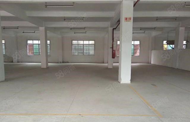石碣唐洪招租独院厂房一楼500平方，实际面积无公摊，现成装修