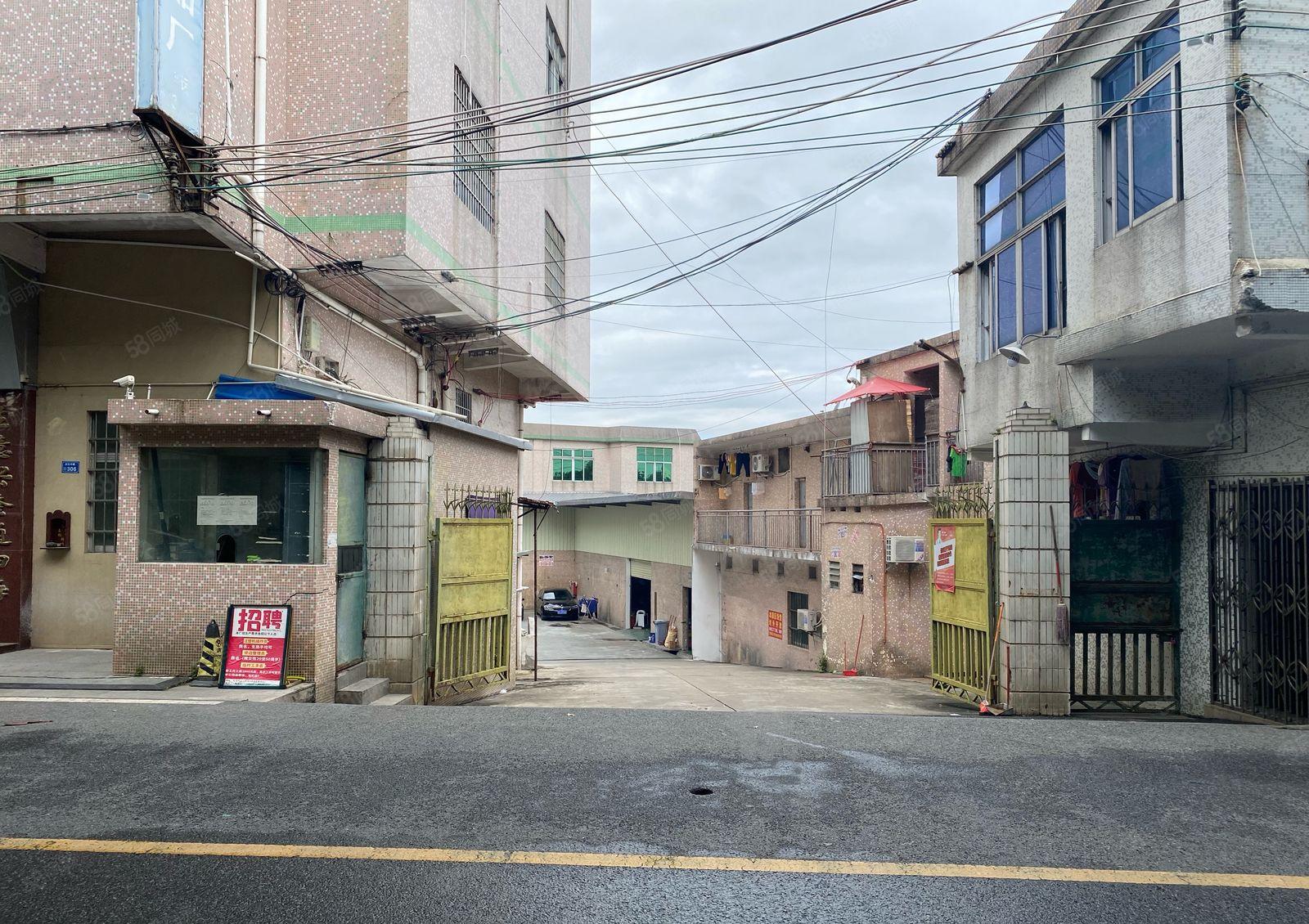 石碣临街店铺，可做厂房