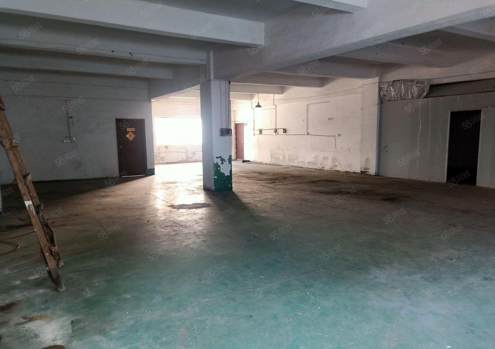 石碣现场装修标准厂房350平方米，500平方米低价出租