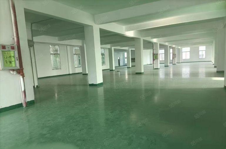 石碣电子电商厂房2000平方起成熟工业区价格10元起