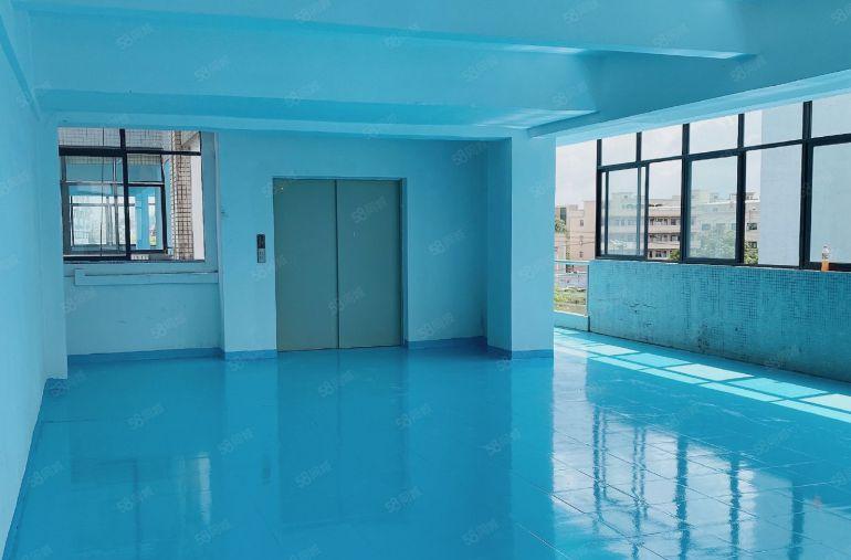 石碣标准厂房园区硬化空地大，近高速入口