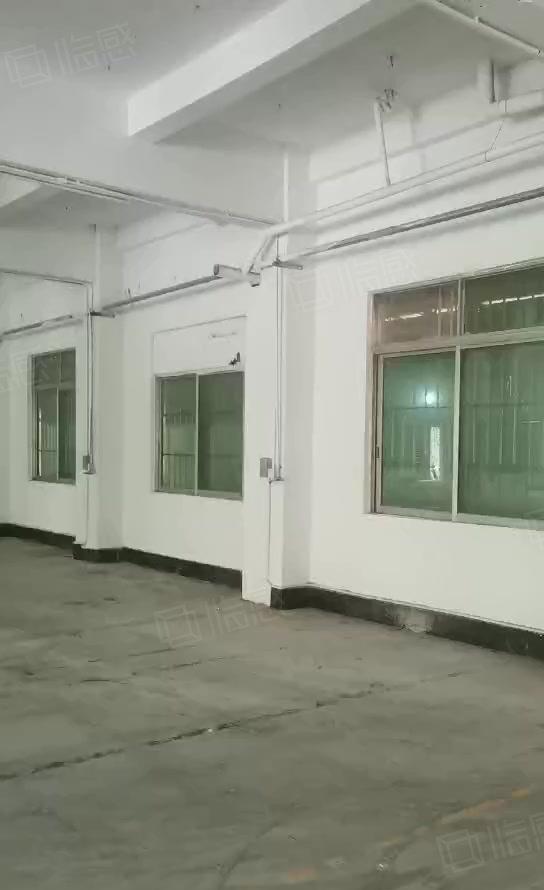 石碣横滘招租独院厂房一楼600平方，位置好，可办环评！