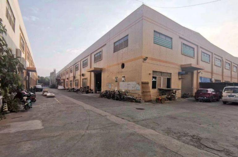 石碣原房东单一层钢结构11米高厂房出租 工业园区 实际面积