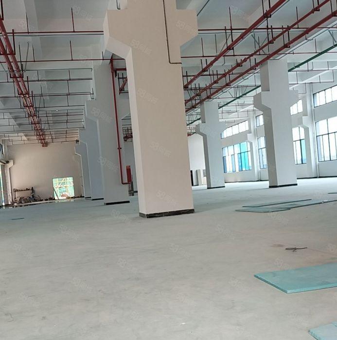 原房东二层独院，大货梯，水电办公室现成，空大，可分租