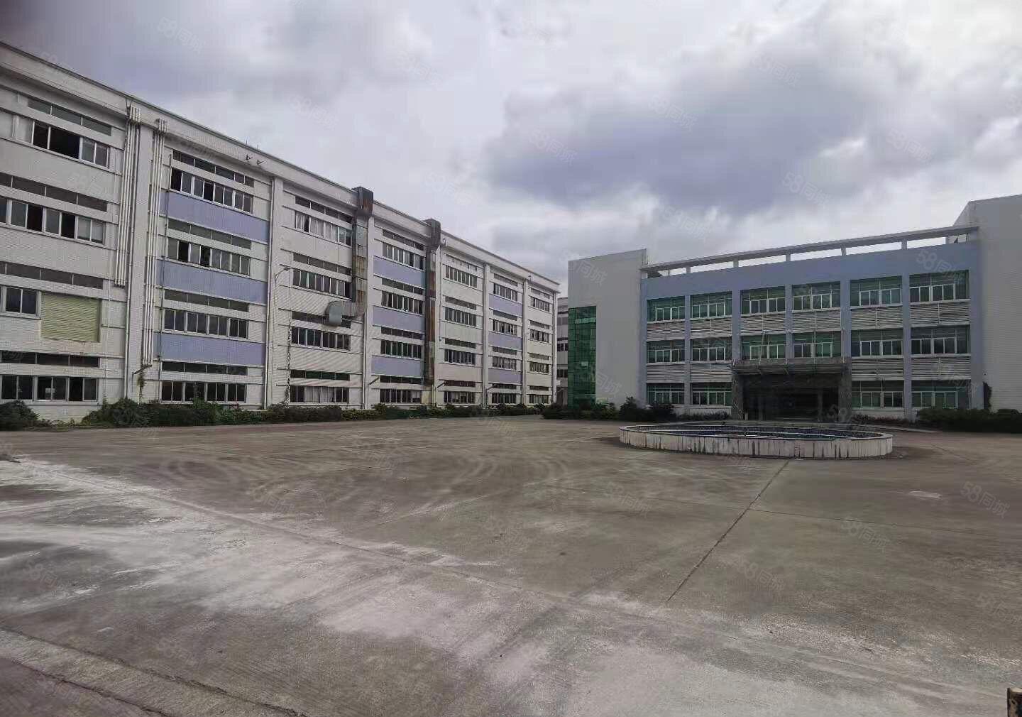 石碣橘洲工业园独院标准厂房8800平可分租形象好