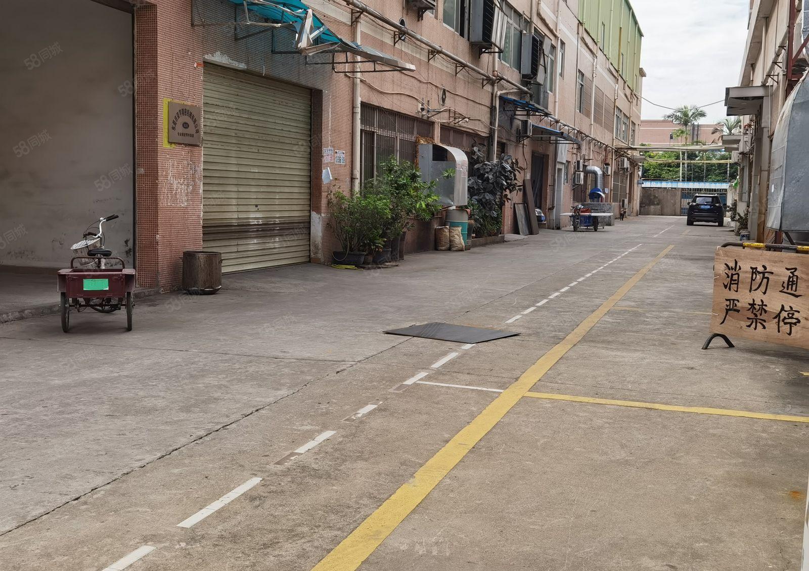 石竭横滘园区新出标准单一层2500平滴水8米大小可分