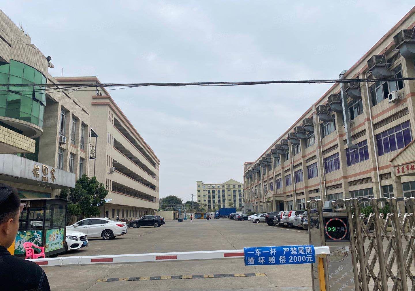 石碣唐洪招租独院厂房一楼500平方，实际面积无公摊，现成装修