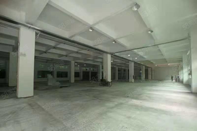 石碣镇村委空出工业园区独栋标准厂房出租四层8000平方