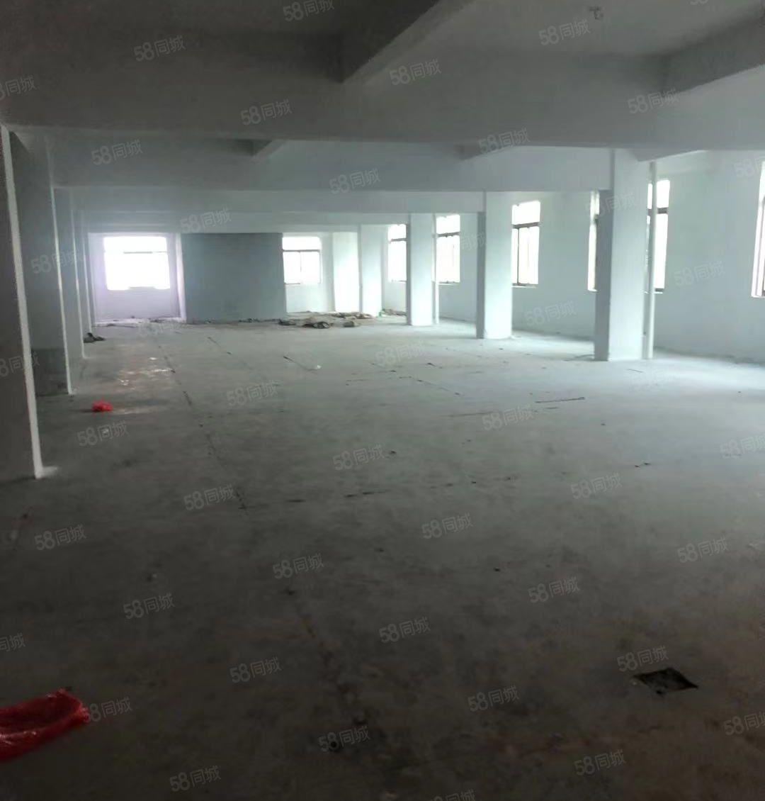 东莞石碣中心全新三层厂房4100方，可分租可办环评